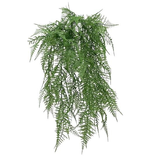 20" Green Asparagus Fern Bush by Ashland®